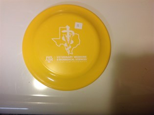 Class of 2017-Example Yellow Frisbee Class of 2017-Example Yellow Frisbee